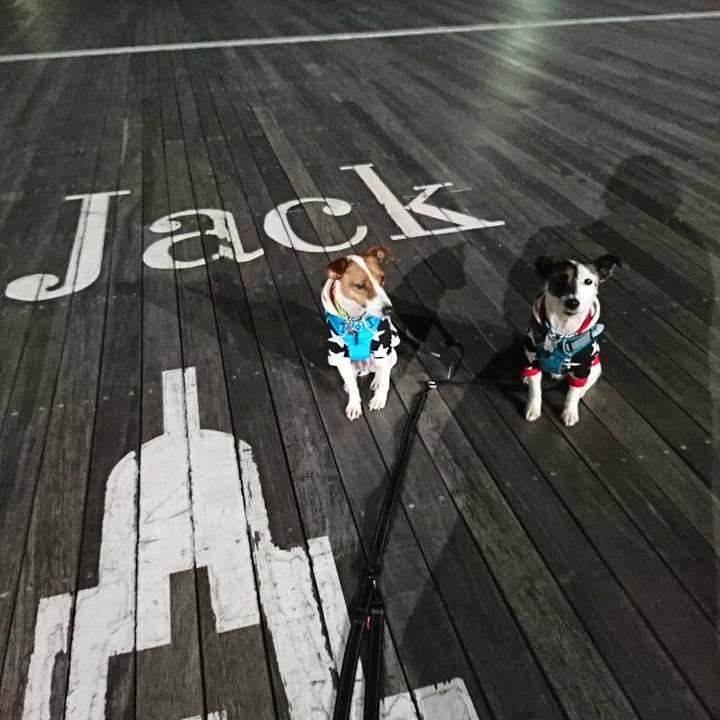 F1be4d41 0afb 4a59 9653 d263fb541ced 1549108041279