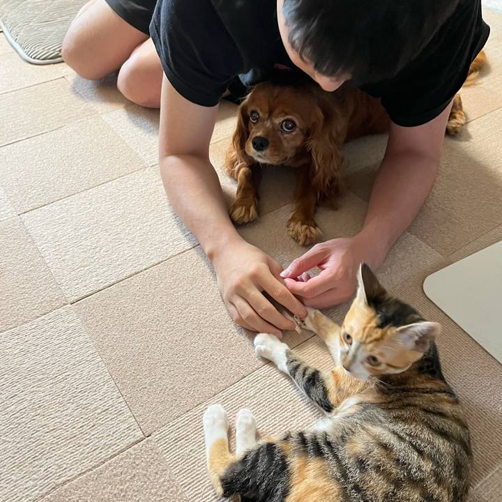 F1bec8d8 610e 4ab8 974d 03a59ddae856 1657455904696