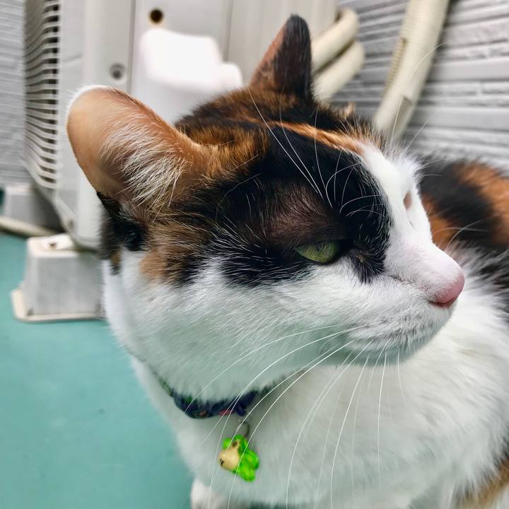 F1bf286f 2602 411f a6a4 d80ebabe33b1 1512610373077