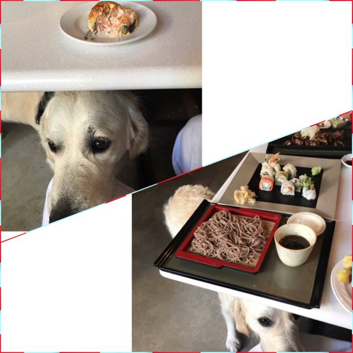 F1bf8eda 60ea 4e82 a94c 46b7e645a8fa 1554244781697