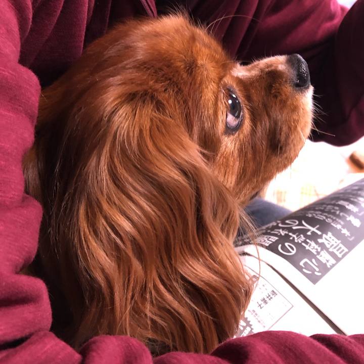 F1bf9690 87b0 4cd1 955d 31a7bebcb09e 1603664256314