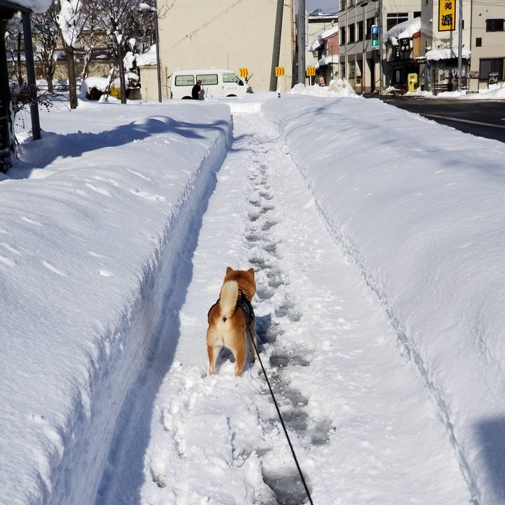 F1bfad5e 8bd7 4c2c 9e75 20ea520f6c28 1640665713936