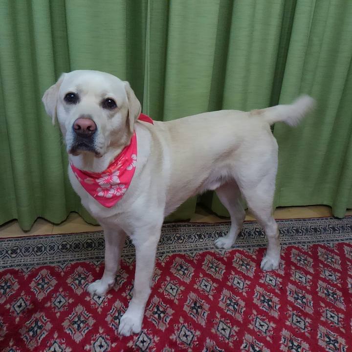 F1c017be 1133 4dfd 846d 2d766785b236 1513417257772