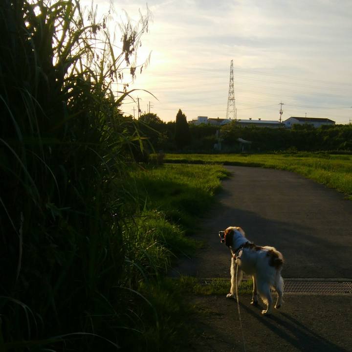 F1c02155 d6ce 4824 9308 dfc2242419e4 1534592634927