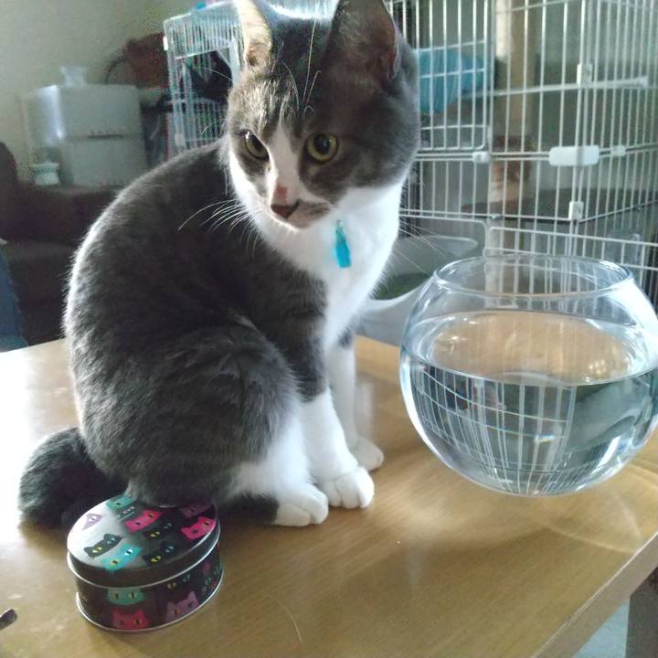 F1c03df1 6210 4c90 a711 85ce571b648b 1632951988252