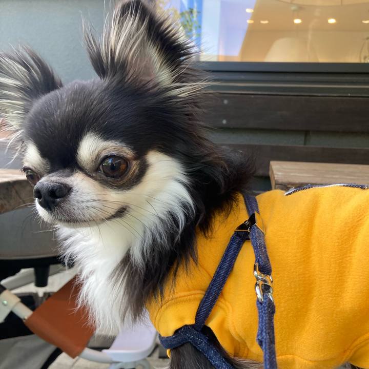 F1c07559 912a 4ad6 abd7 322a4ae152b2 1681017031899