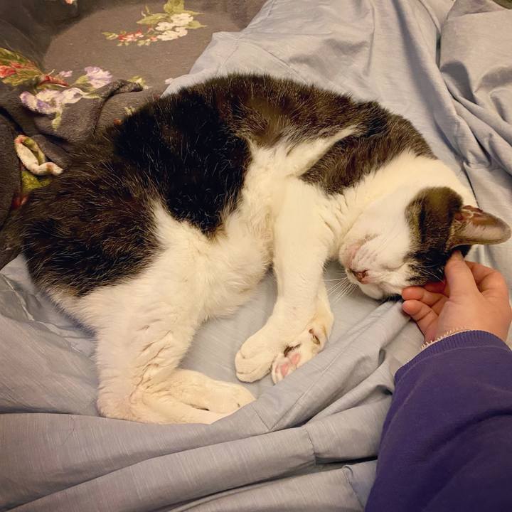 F1c095f6 e036 4e8b a999 0d6ed473a153 1615125457010