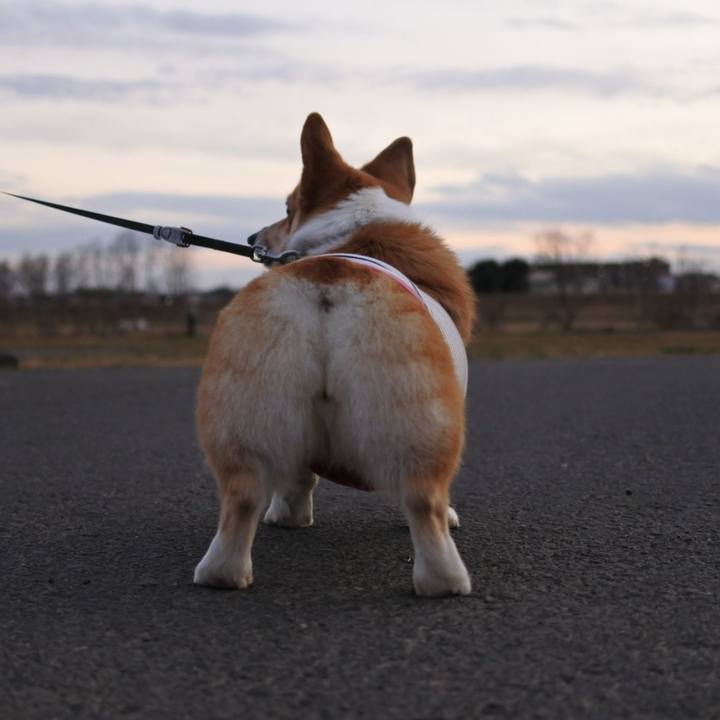 F1c09da3 39bc 4ef0 bf81 576ff9b81955 1578879293061