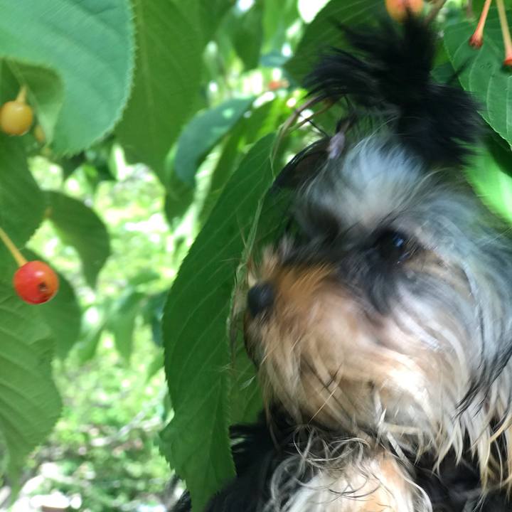 F1c0a89c cc69 445c 8282 4d0a644c2df3 1620539641304