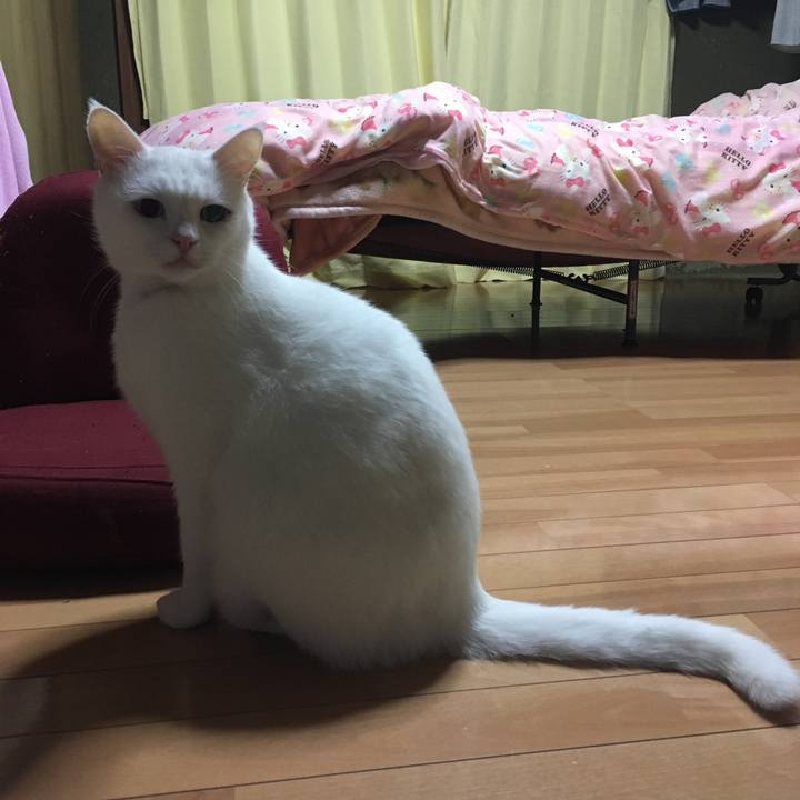 F1c0bf9d f707 40f9 b6c4 80a2c57985df 1541318151722