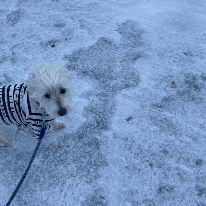 F1c10698 5764 4a04 9517 9da2af7429e8 1734856878799