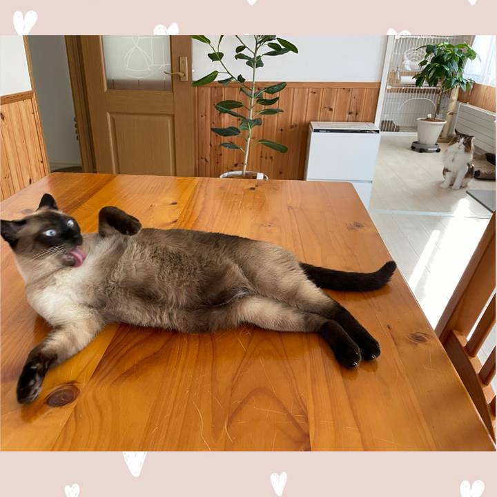 F1c146d9 7367 4206 94c4 8c9101fe30a3 1754167046825