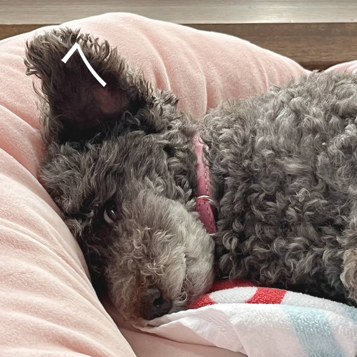 F1c1550d f4d2 4e9a 9b98 0334171f6041 1686953411344