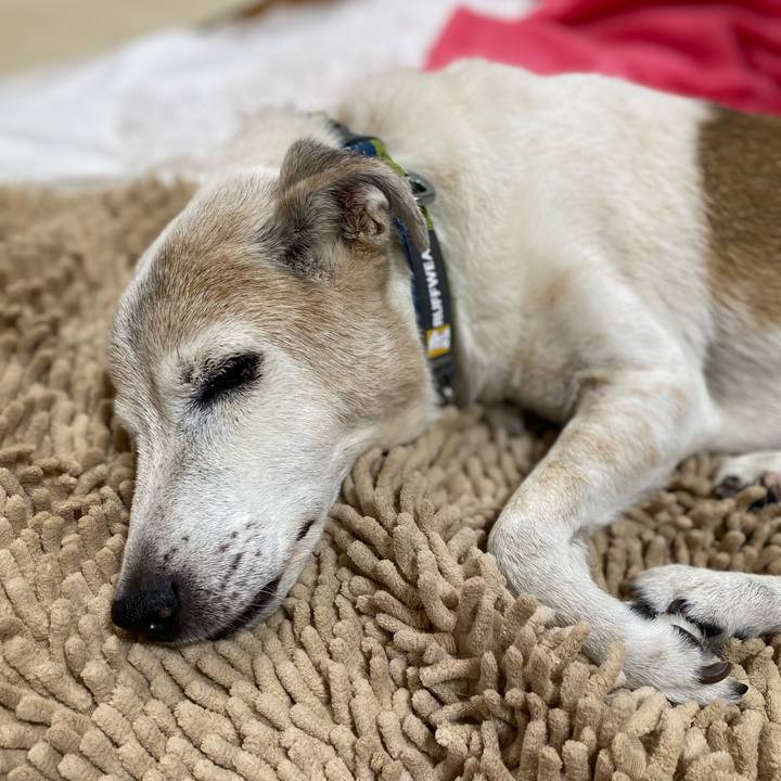 F1c18e1c 8e44 4b1d bbae 284772371f8c 1730233811632