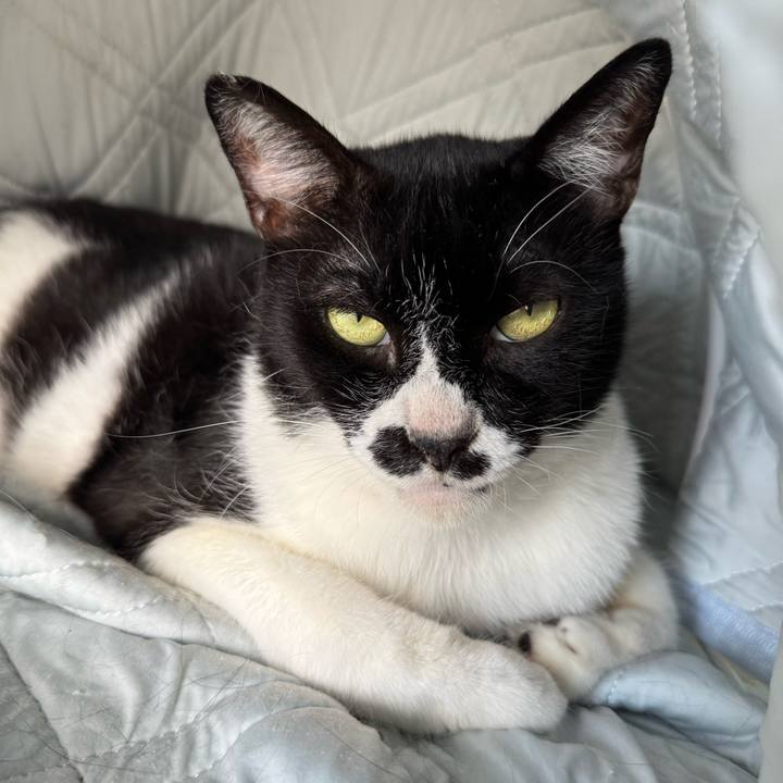 F1c19468 4413 45cc ab84 b466a259b93e 1753832778034