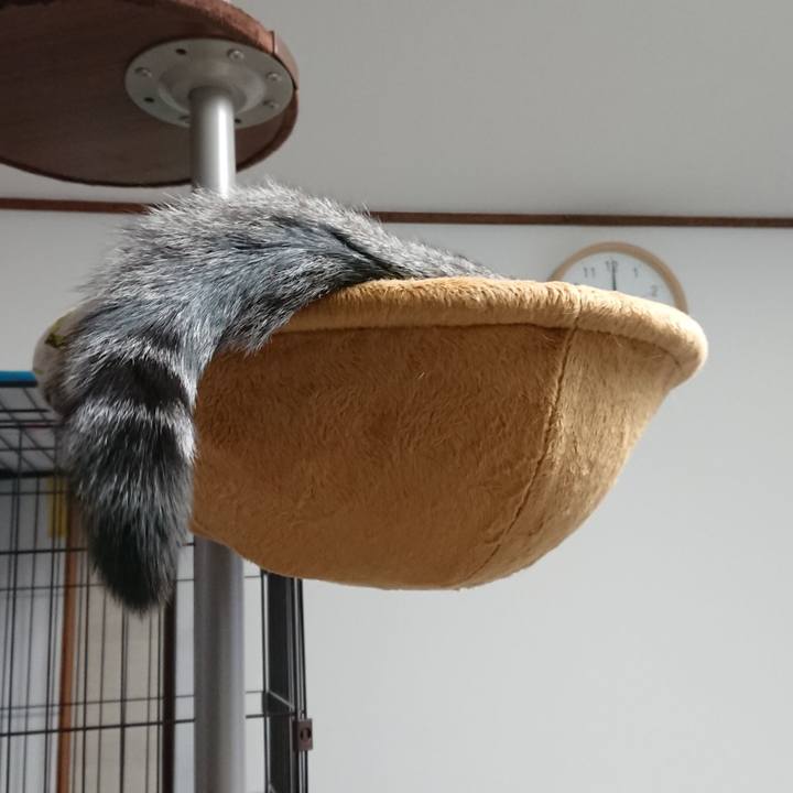 F1c1a29b e10d 4dc9 8dd3 bb29c4f585c1 1518336139977