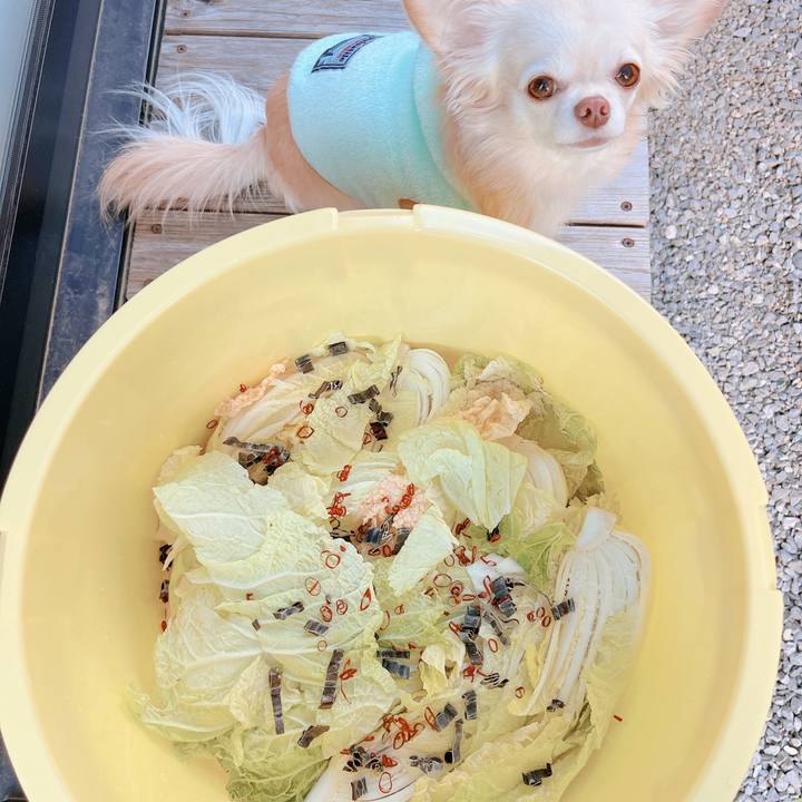 F1c1c15f 9c61 450c bd8d 747e1af685b5 1668663156398