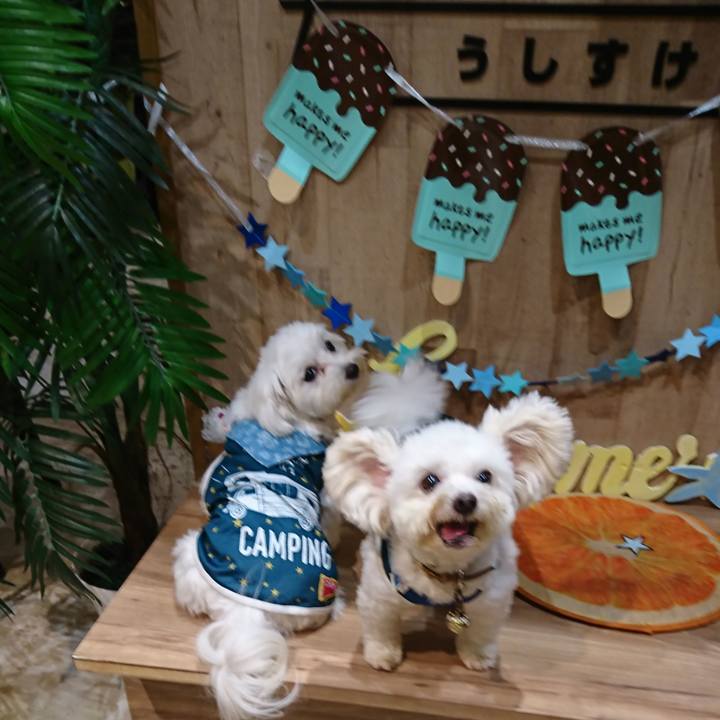 F1c1d8c3 3bc2 4c83 8578 f1b0b2d01ff0 1600698758489