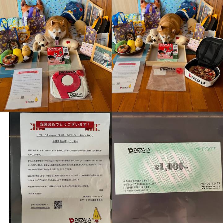 F1c224dd 7cdc 43e3 97ee 7fb71ca612f9 1661572133069