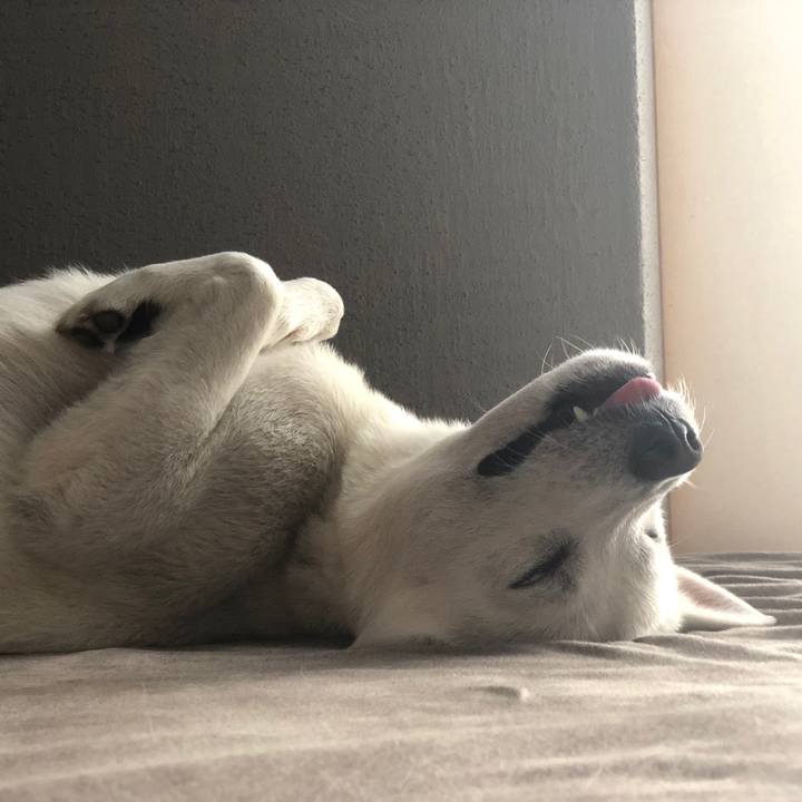 F1c243c1 c9ff 496e ae55 9e49121e4aad 1589970512272