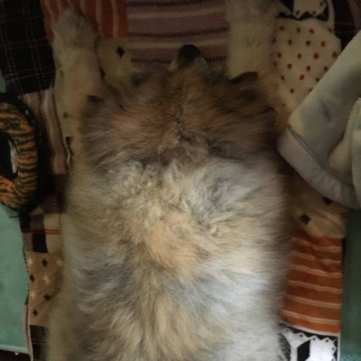 F1c24541 f1f0 483d 8258 b962a4e41f38 1583082881972