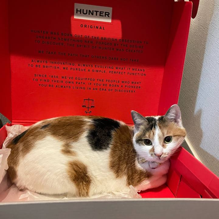 F1c25ba1 98da 41c0 bb67 03fdd7a6313e 1638330246288