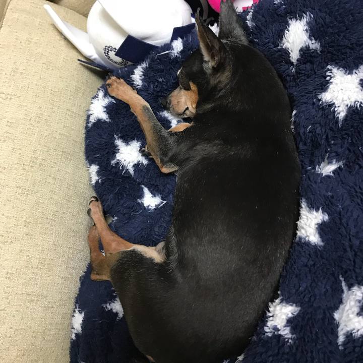 F1c2693e 3bad 4c5c bda5 f17e8a411898 1557668502372