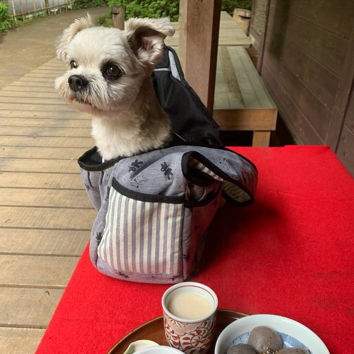 F1c26edb 2c9e 4cf3 8c1f 703d63fd825b 1654340096547