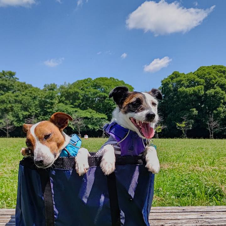 F1c273cc f45d 4967 a1c9 62d955085f09 1654318253372