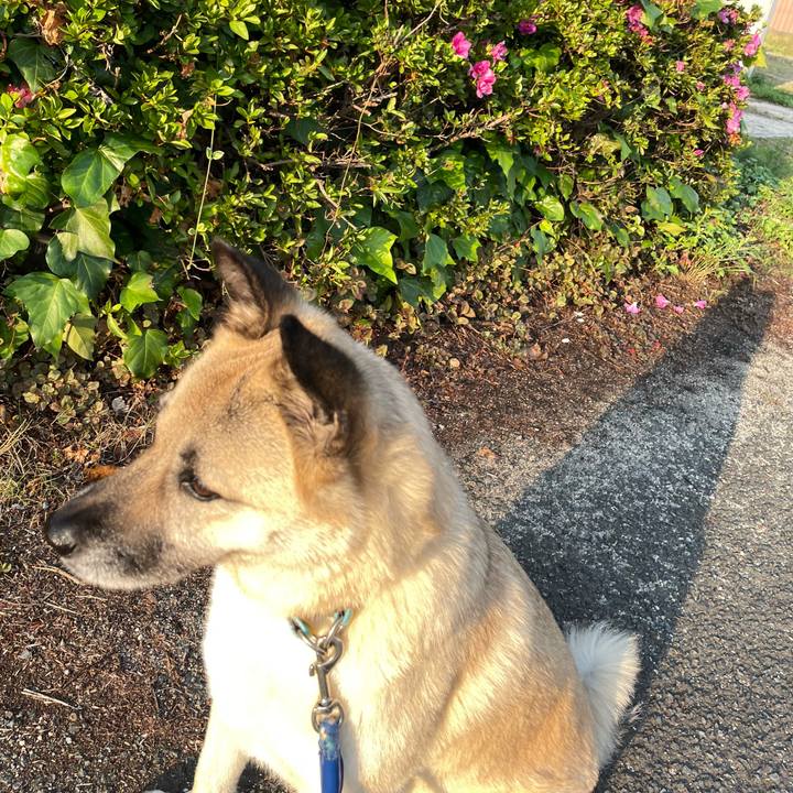 F1c2886c d2f7 4a19 bb91 25d17b99dbef 1655296030435