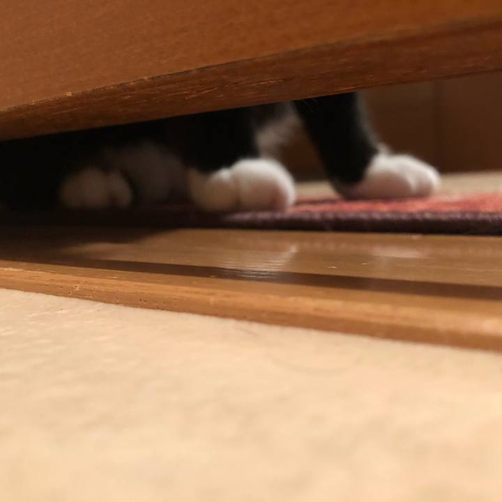 F1c28a82 fbed 425c bad4 42846021c799 1570746459046