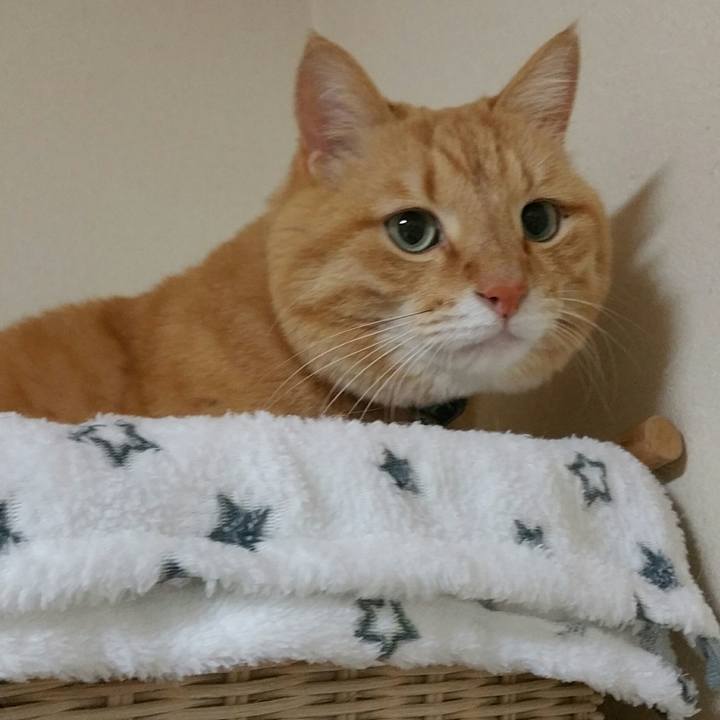 F1c2aca4 4dd0 4a9a 9cea 409b8c08eb87 1582844881488