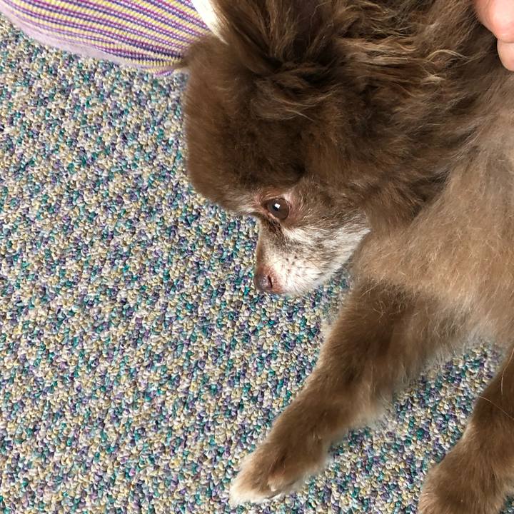 F1c2b099 ef1f 4d40 ba25 6f506ed13491 1561165446694