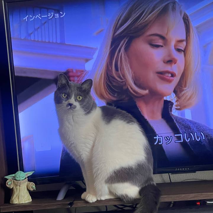 F1c2b171 7f86 4d55 b3f9 92634d931c60 1740034590730