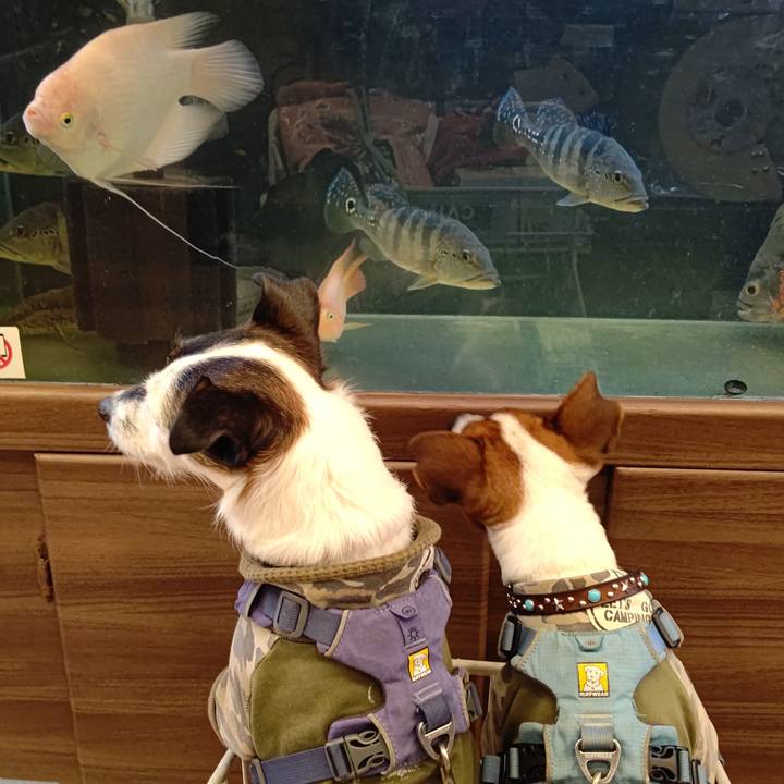 F1c2b241 aff2 40c6 9a00 1c5a496f68d0 1675503653559