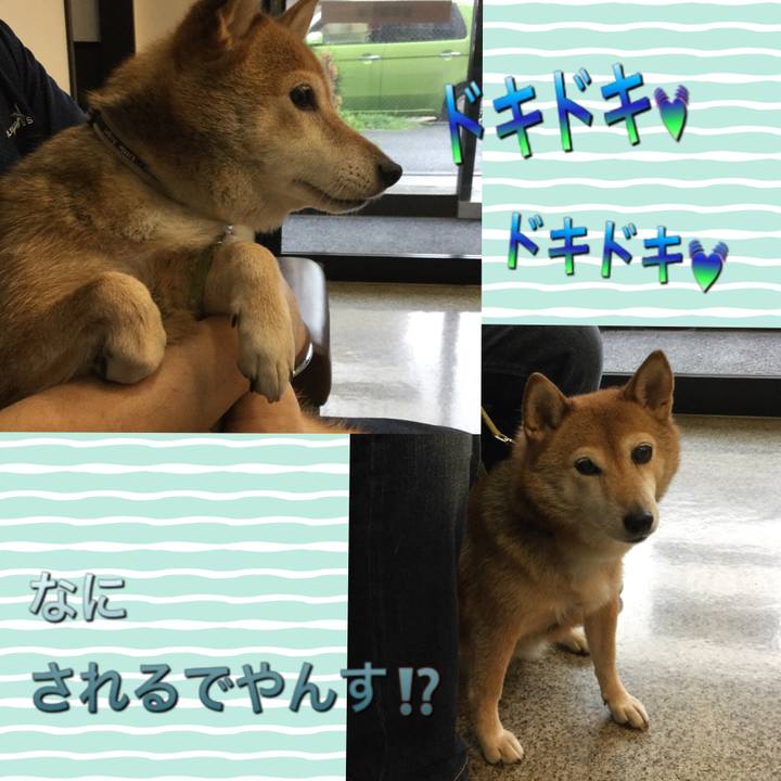 F1c2c8b0 fedb 4997 8975 9bc15a33feee 1628384223588