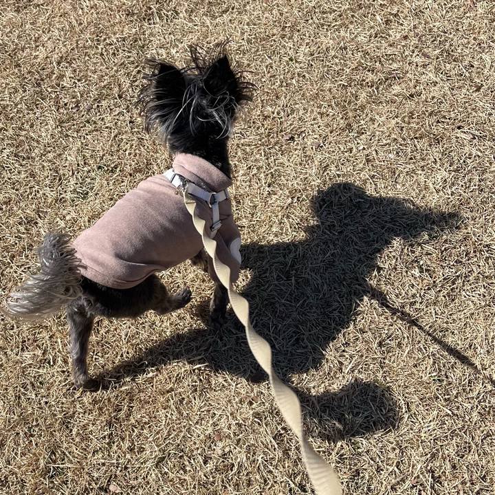 F1c2eb28 6559 4ae2 abe8 1d92727db5b4 1772448077190