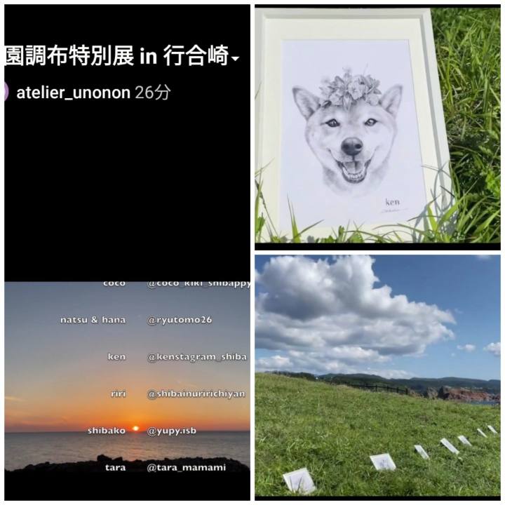 F1c33a47 7905 447b a30c e4f967a2d552 1625969297183