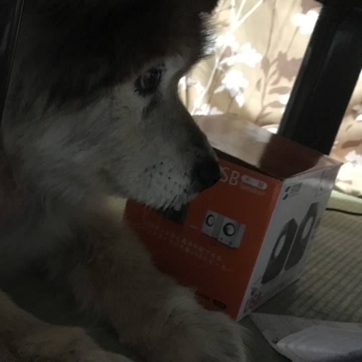 F1c3600b 3f18 4352 8659 0f107b94fab3 1625101737962