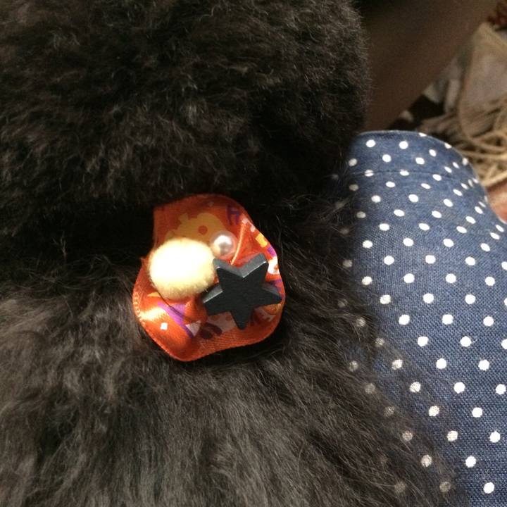 F1c36795 855b 41ec 824a 4f3412f46aa1 1539153625464