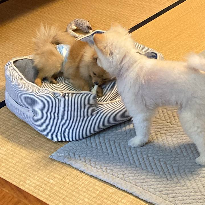 F1c3f873 2801 4ed0 bf7c 6ee2ab66f6ab 1643761475697