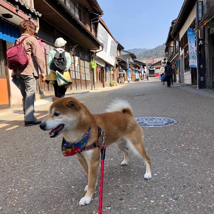 F1c3fa50 a53f 41c4 85dd 73787be00a5a 1521017450606