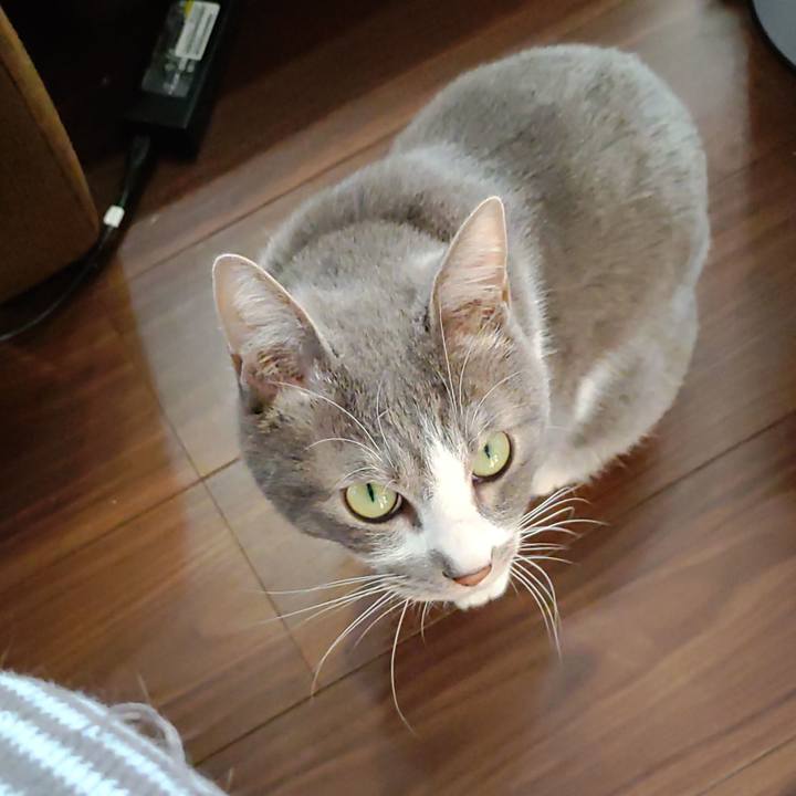 F1c40a79 938f 4a8f 993b 0d243ab205d8 1670999974420