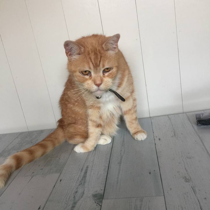 F1c41f6c 36ef 4123 86eb 3db37407f39a 1555727699145