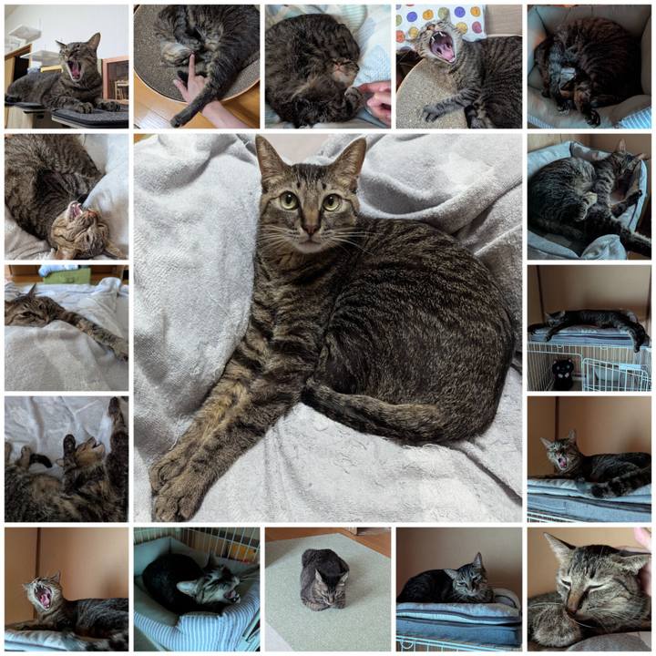 F1c426bb 7d2d 4ce2 b094 670dcdfa7748 1761717163744