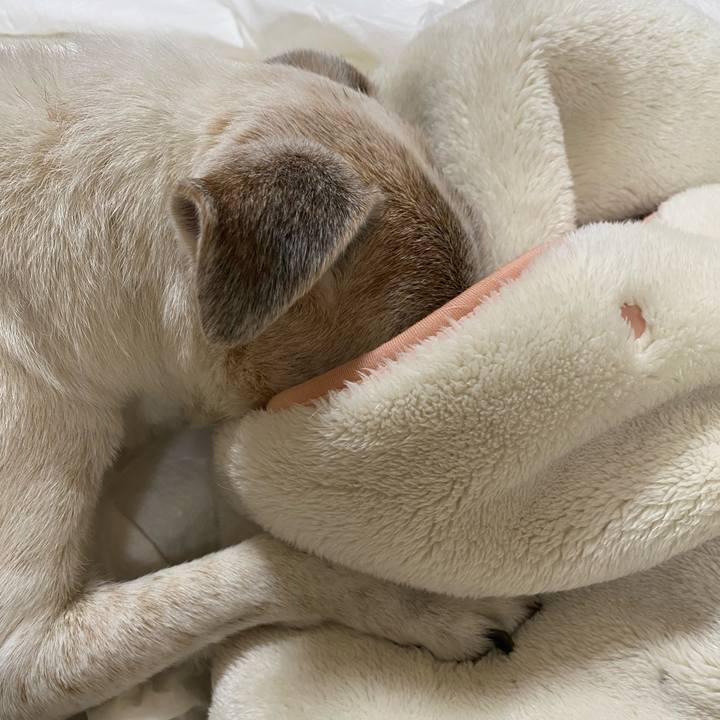 F1c4327c 9530 4e04 b730 4e8d5b76360c 1732109020259