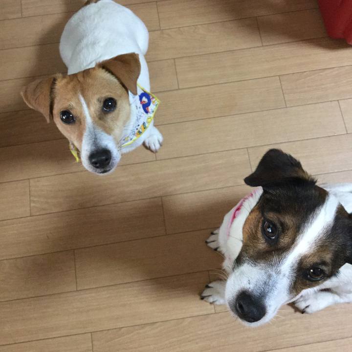 F1c43db4 4c83 4e69 8051 def9cdddf950 1556263410286