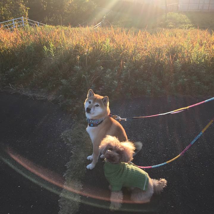 F1c4518d 2223 4131 bb3d a7cd0d05cd96 1511081712492