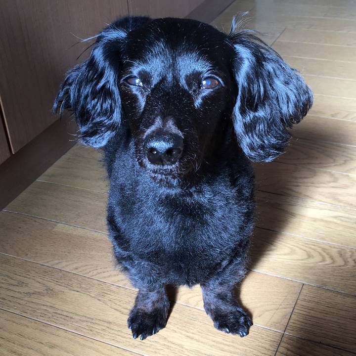 F1c45fe6 7440 478d 9428 2df2f0d662c7 1510094051306