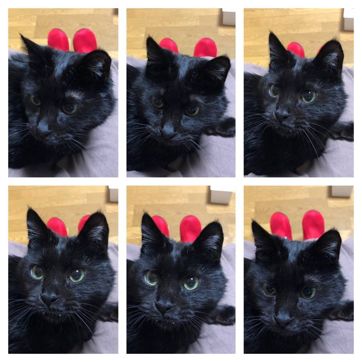 F1c482a4 7e0e 41df acd4 998850d1b6ab 1613476918938